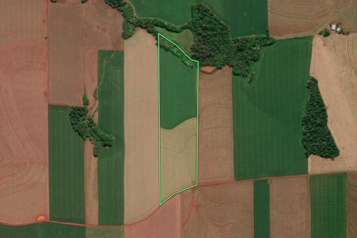 Imagem de satélite do imóvel rural em Horizontina (RS), com o contorno declarado no CAR desenhado por cima.
