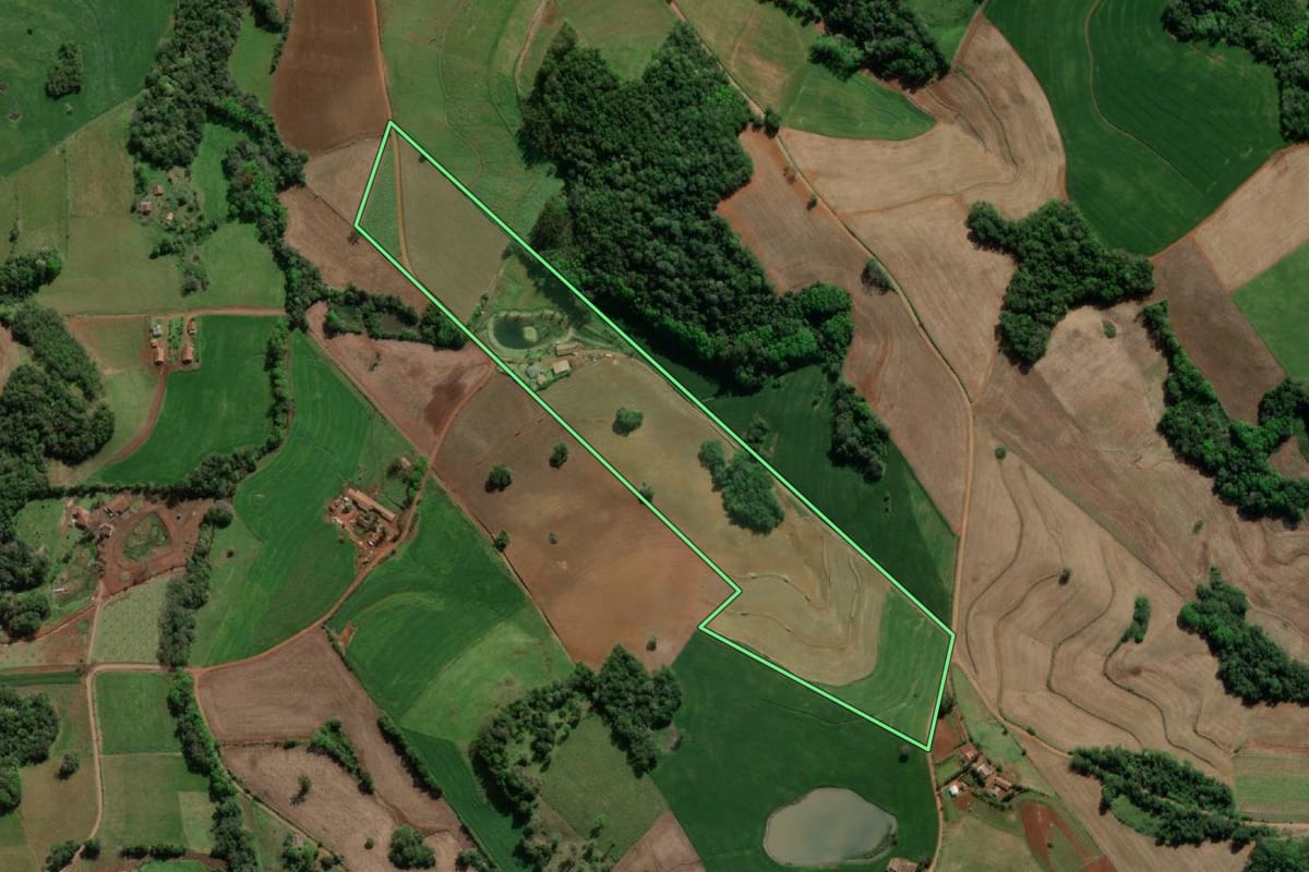 Imagem de satélite do imóvel rural em Horizontina (RS), com o contorno declarado no CAR desenhado por cima.