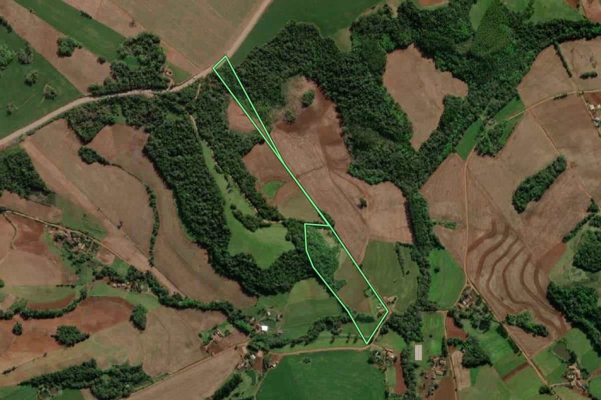 Imagem de satélite do imóvel rural em Horizontina (RS), com o contorno declarado no CAR desenhado por cima.