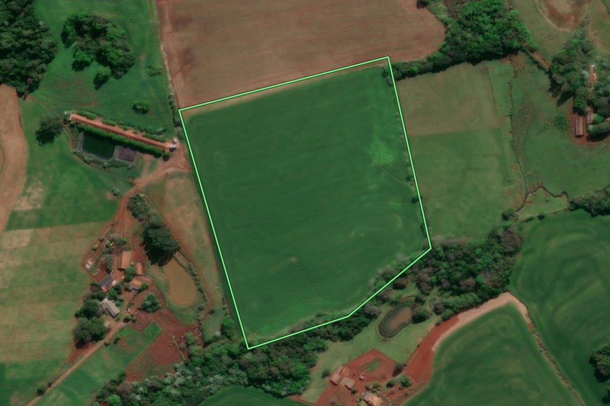 Imagem de satélite do imóvel rural em Horizontina (RS), com o contorno declarado no CAR desenhado por cima.
