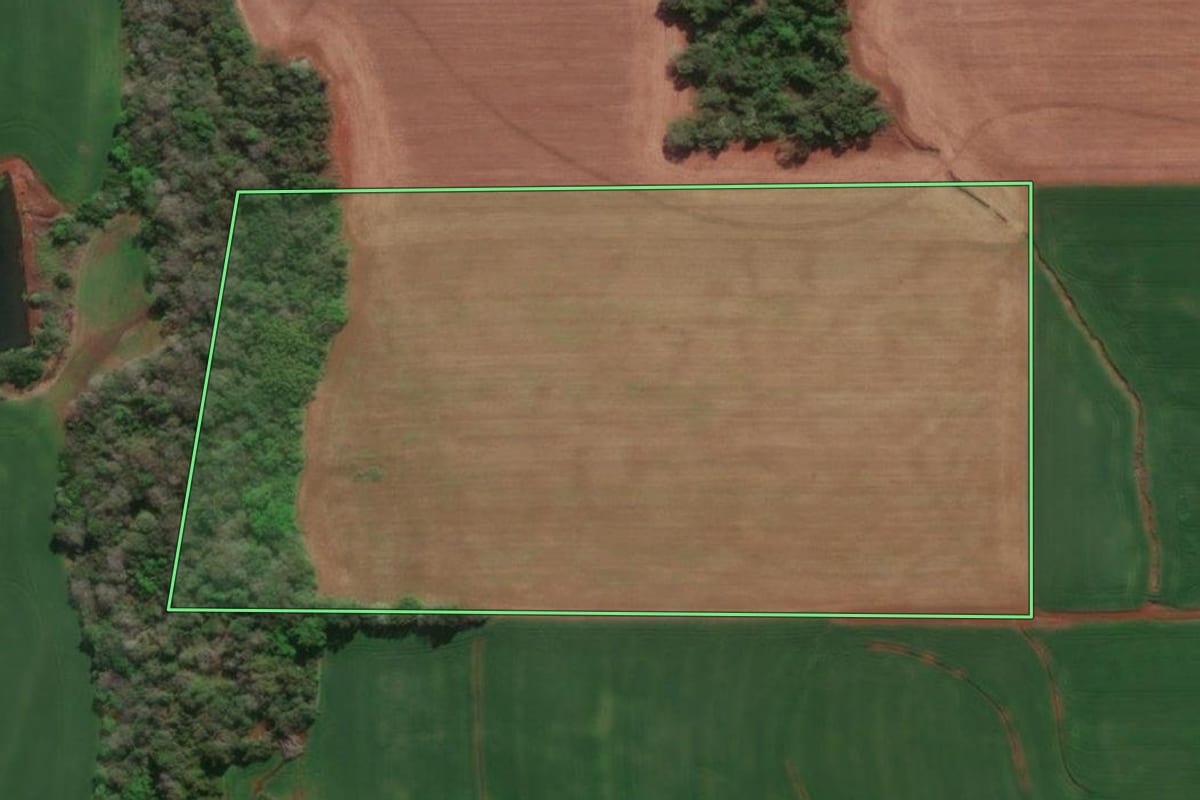 Imagem de satélite do imóvel rural em Horizontina (RS), com o contorno declarado no CAR desenhado por cima.