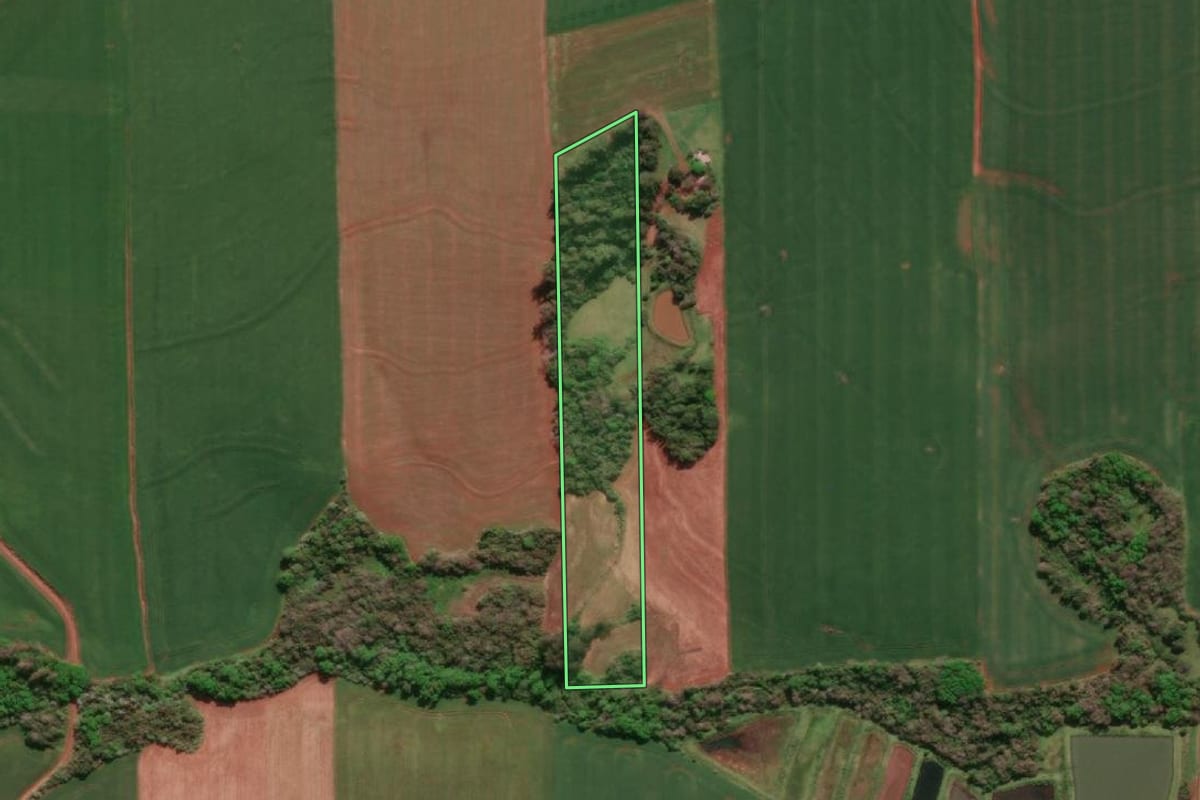 Imagem de satélite do imóvel rural em Horizontina (RS), com o contorno declarado no CAR desenhado por cima.