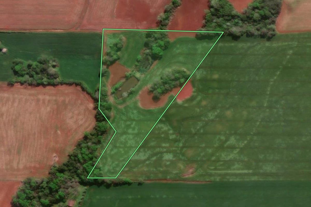 Imagem de satélite do imóvel rural em Horizontina (RS), com o contorno declarado no CAR desenhado por cima.