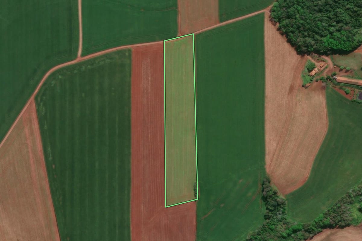 Imagem de satélite do imóvel rural em Horizontina (RS), com o contorno declarado no CAR desenhado por cima.