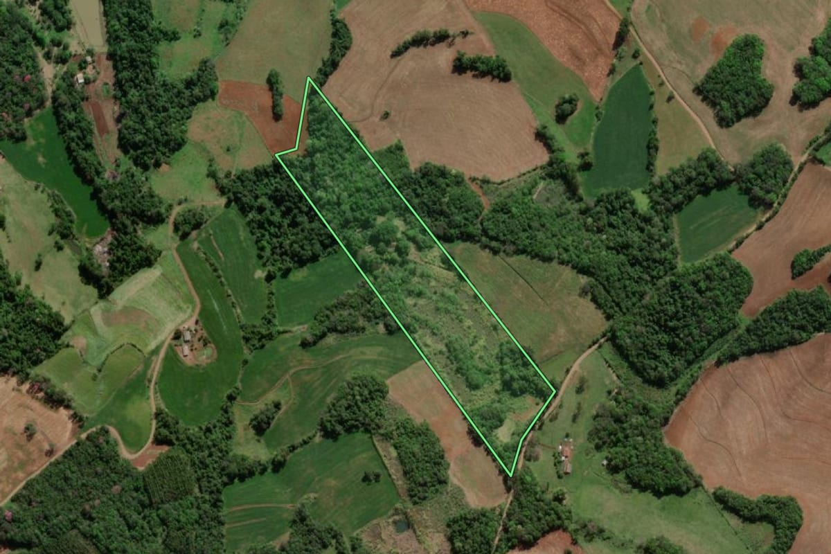 Imagem de satélite do imóvel rural em Horizontina (RS), com o contorno declarado no CAR desenhado por cima.