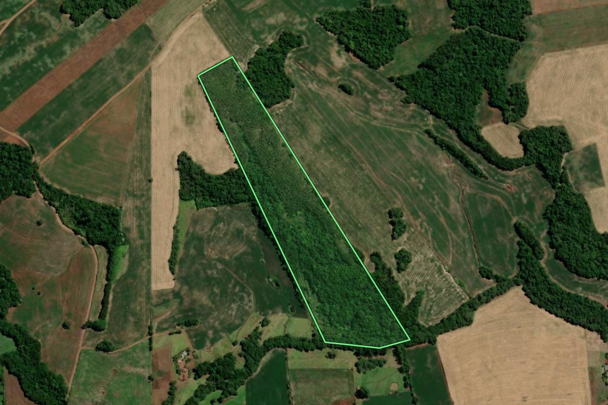 Imagem de satélite do imóvel rural em Horizontina (RS), com o contorno declarado no CAR desenhado por cima.