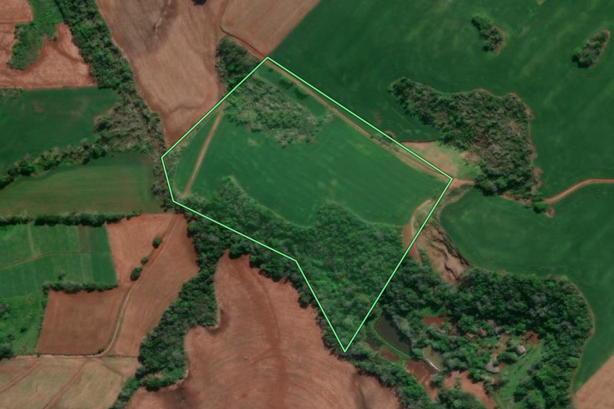 Imagem de satélite do imóvel rural em Horizontina (RS), com o contorno declarado no CAR desenhado por cima.