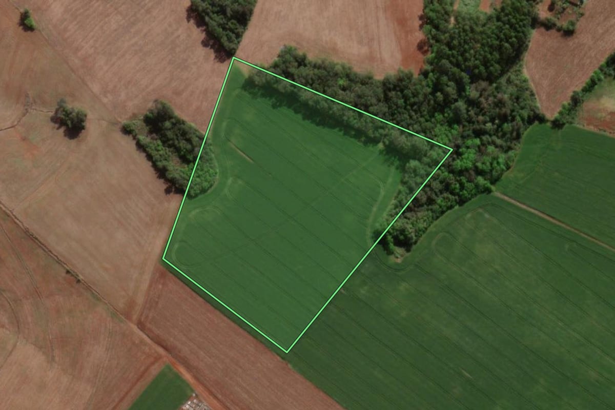 Imagem de satélite do imóvel rural em Horizontina (RS), com o contorno declarado no CAR desenhado por cima.