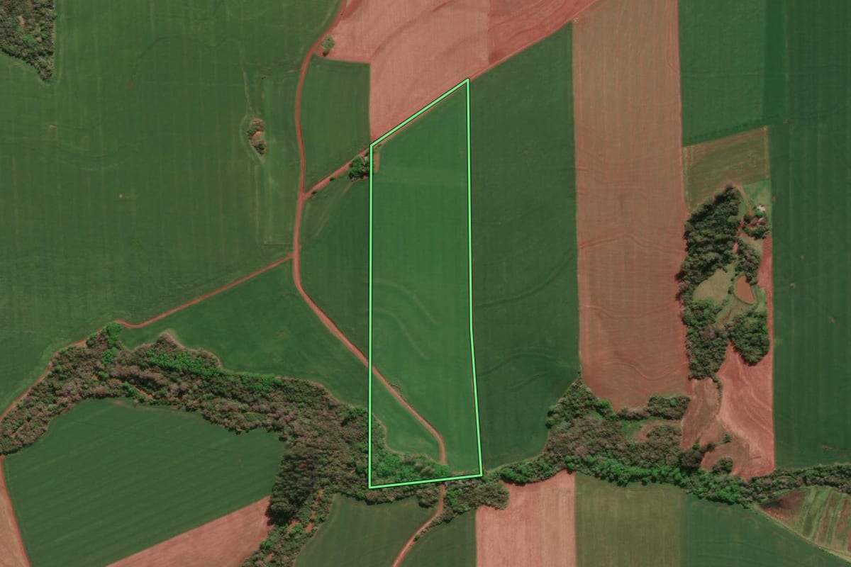 Imagem de satélite do imóvel rural em Horizontina (RS), com o contorno declarado no CAR desenhado por cima.