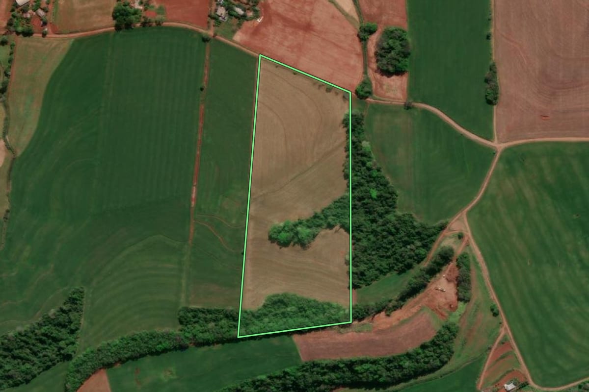 Imagem de satélite do imóvel rural em Horizontina (RS), com o contorno declarado no CAR desenhado por cima.