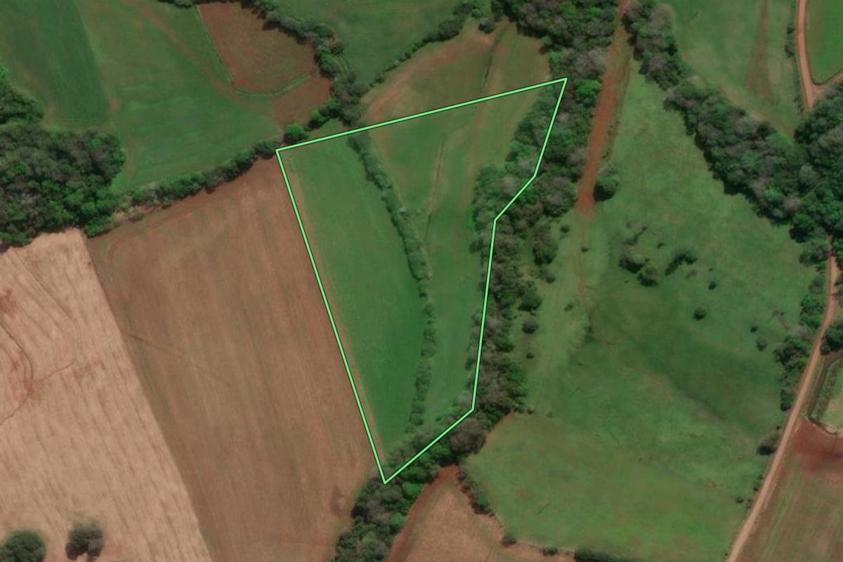 Imagem de satélite do imóvel rural em Horizontina (RS), com o contorno declarado no CAR desenhado por cima.