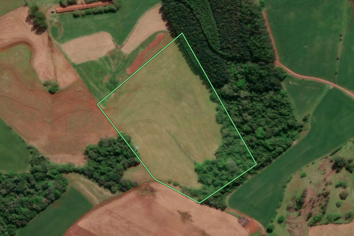 Imagem de satélite do imóvel rural em Horizontina (RS), com o contorno declarado no CAR desenhado por cima.