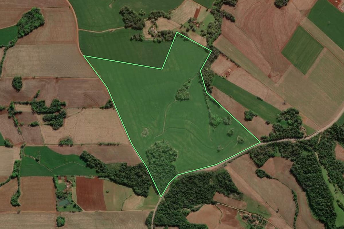 Imagem de satélite do imóvel rural em Horizontina (RS), com o contorno declarado no CAR desenhado por cima.