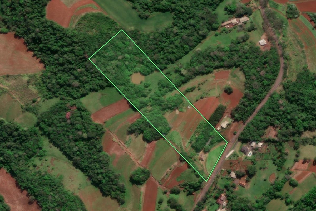 Imagem de satélite do imóvel rural em Horizontina (RS), com o contorno declarado no CAR desenhado por cima.