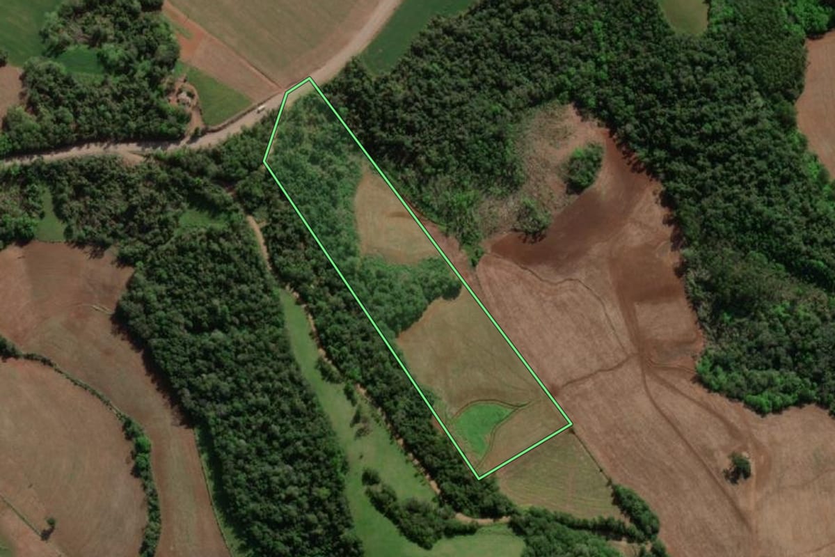 Imagem de satélite do imóvel rural em Horizontina (RS), com o contorno declarado no CAR desenhado por cima.