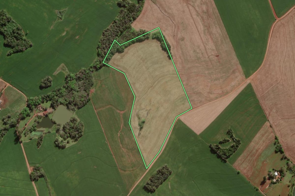 Imagem de satélite do imóvel rural em Horizontina (RS), com o contorno declarado no CAR desenhado por cima.