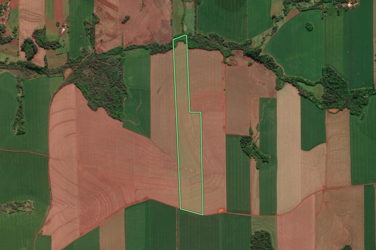 Imagem de satélite do imóvel rural em Horizontina (RS), com o contorno declarado no CAR desenhado por cima.