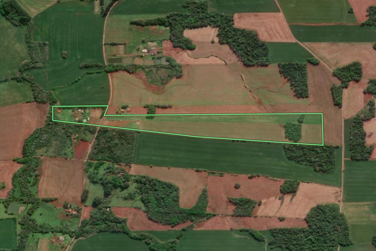 Imagem de satélite do imóvel rural em Horizontina (RS), com o contorno declarado no CAR desenhado por cima.
