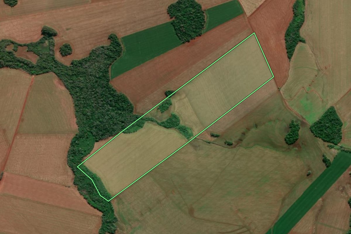 Imagem de satélite do imóvel rural em Horizontina (RS), com o contorno declarado no CAR desenhado por cima.