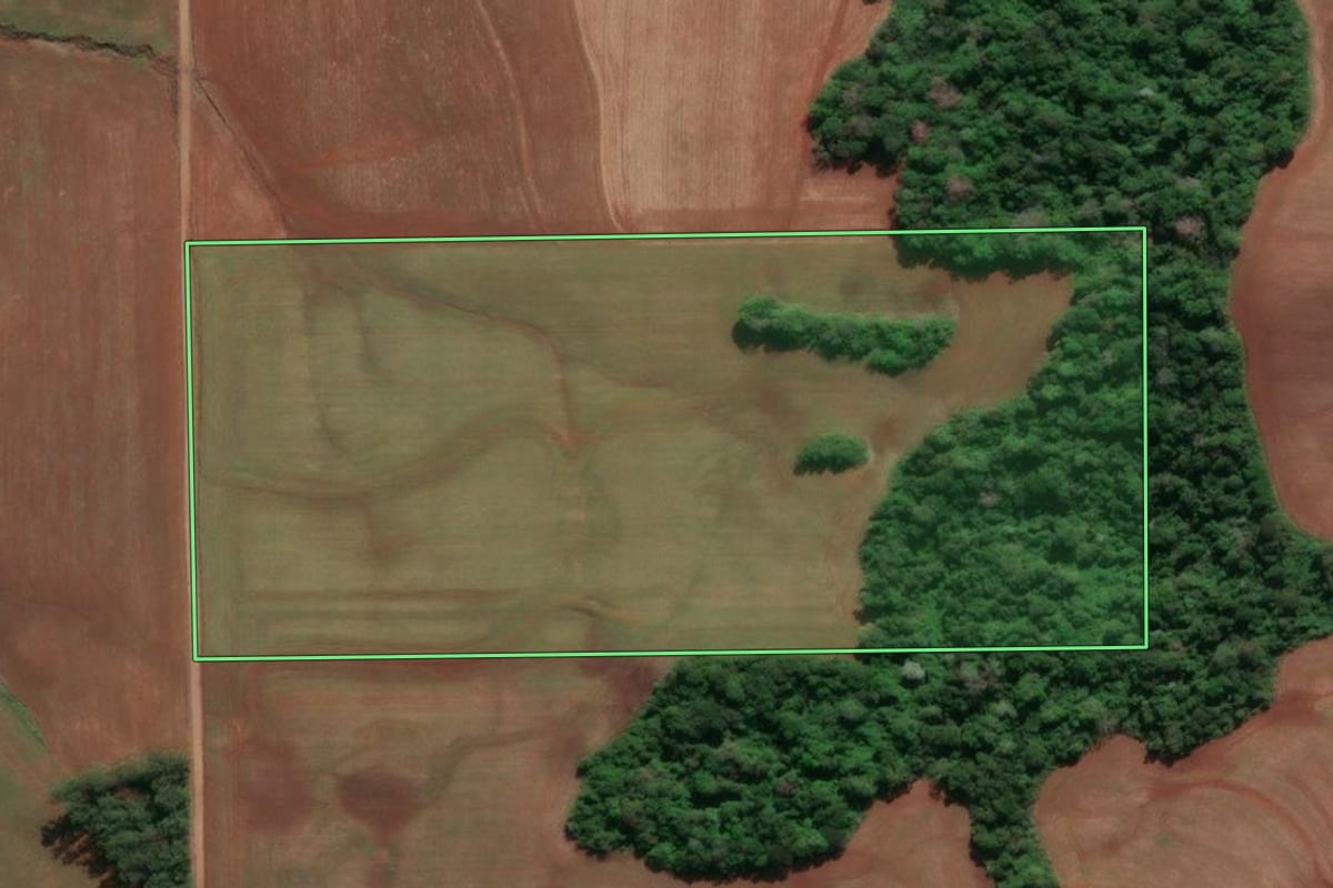 Imagem de satélite do imóvel rural em Horizontina (RS), com o contorno declarado no CAR desenhado por cima.