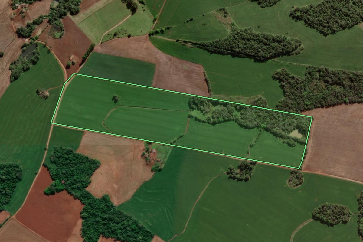Imagem de satélite do imóvel rural em Horizontina (RS), com o contorno declarado no CAR desenhado por cima.