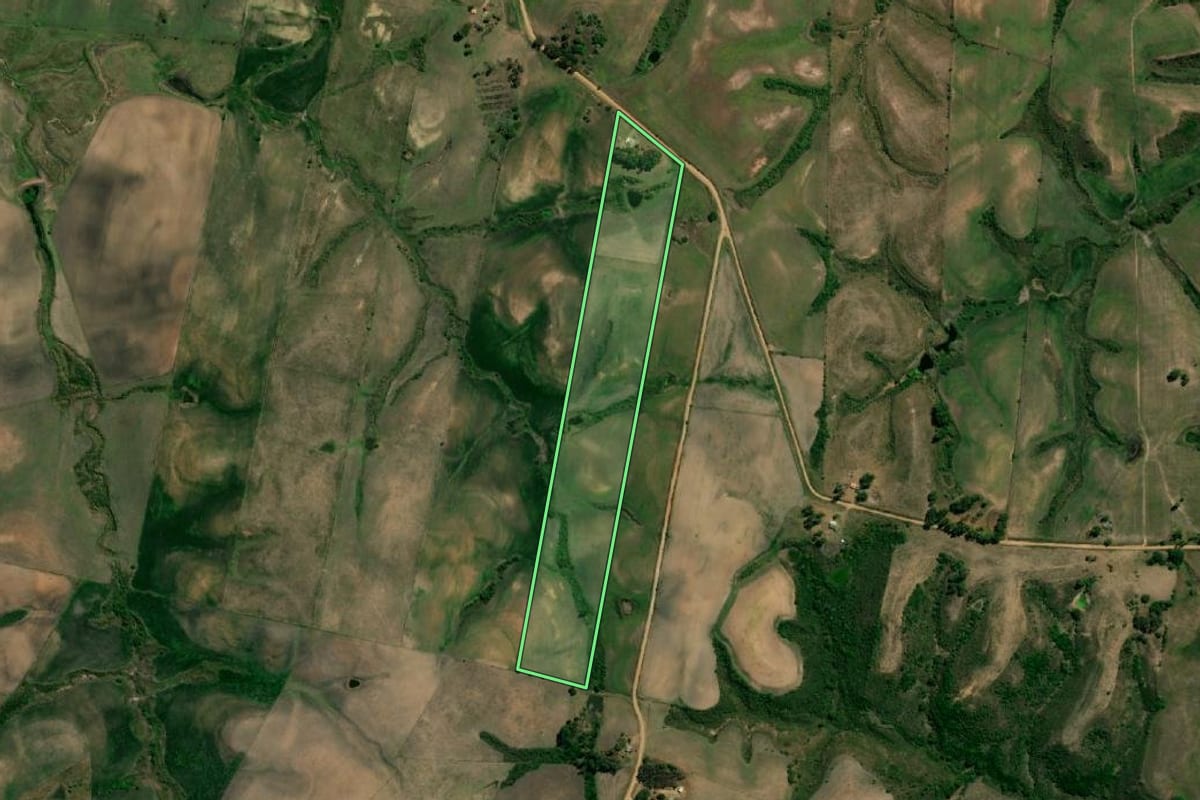 Imagem de satélite do imóvel rural em Hulha Negra (RS), com o contorno declarado no CAR desenhado por cima.