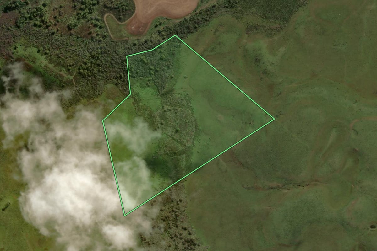 Imagem de satélite do imóvel rural em Hulha Negra (RS), com o contorno declarado no CAR desenhado por cima.