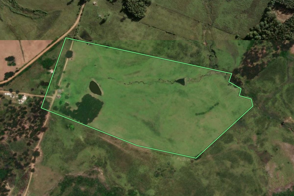 Imagem de satélite do imóvel rural em Hulha Negra (RS), com o contorno declarado no CAR desenhado por cima.