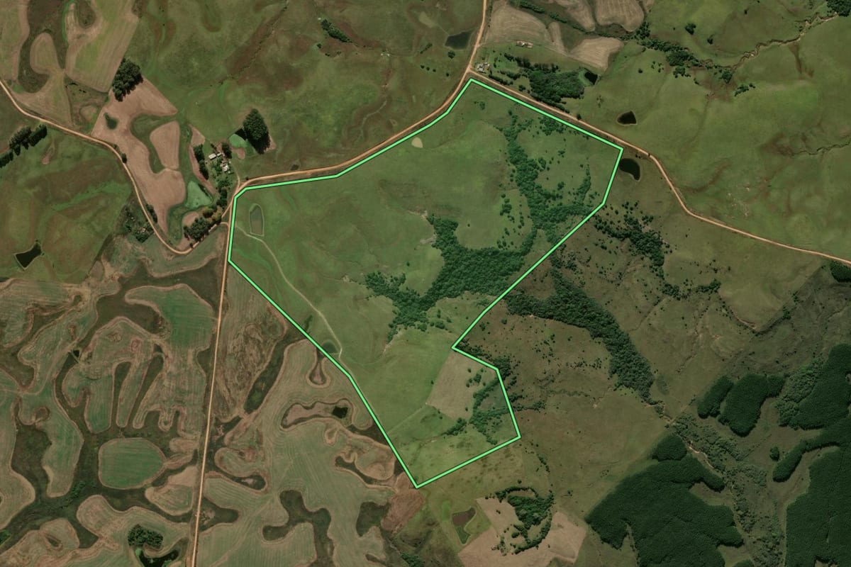 Imagem de satélite do imóvel rural em Hulha Negra (RS), com o contorno declarado no CAR desenhado por cima.