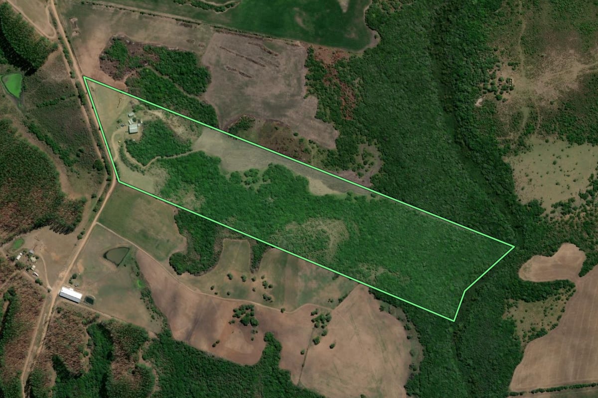 Imagem de satélite do imóvel rural em Hulha Negra (RS), com o contorno declarado no CAR desenhado por cima.
