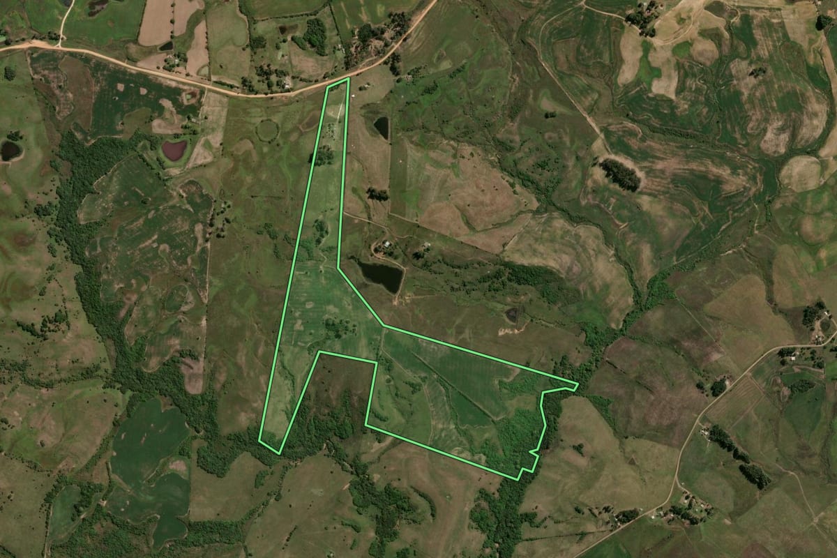 Imagem de satélite do imóvel rural em Hulha Negra (RS), com o contorno declarado no CAR desenhado por cima.