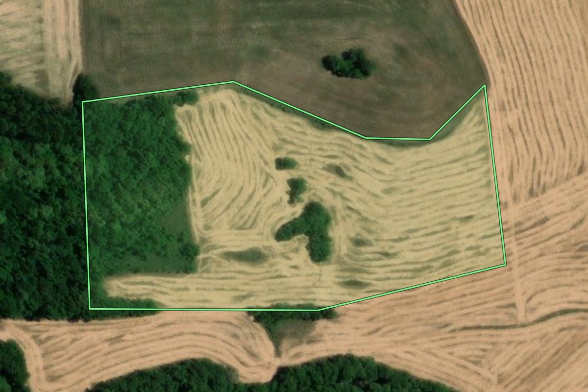 Imagem de satélite do imóvel rural em Humaitá (RS), com o contorno declarado no CAR desenhado por cima.
