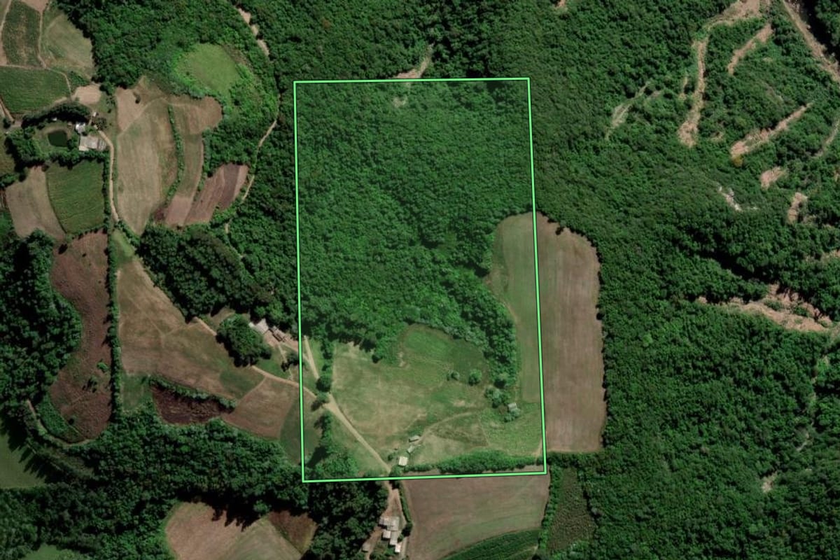 Imagem de satélite do imóvel rural em Ibarama (RS), com o contorno declarado no CAR desenhado por cima.