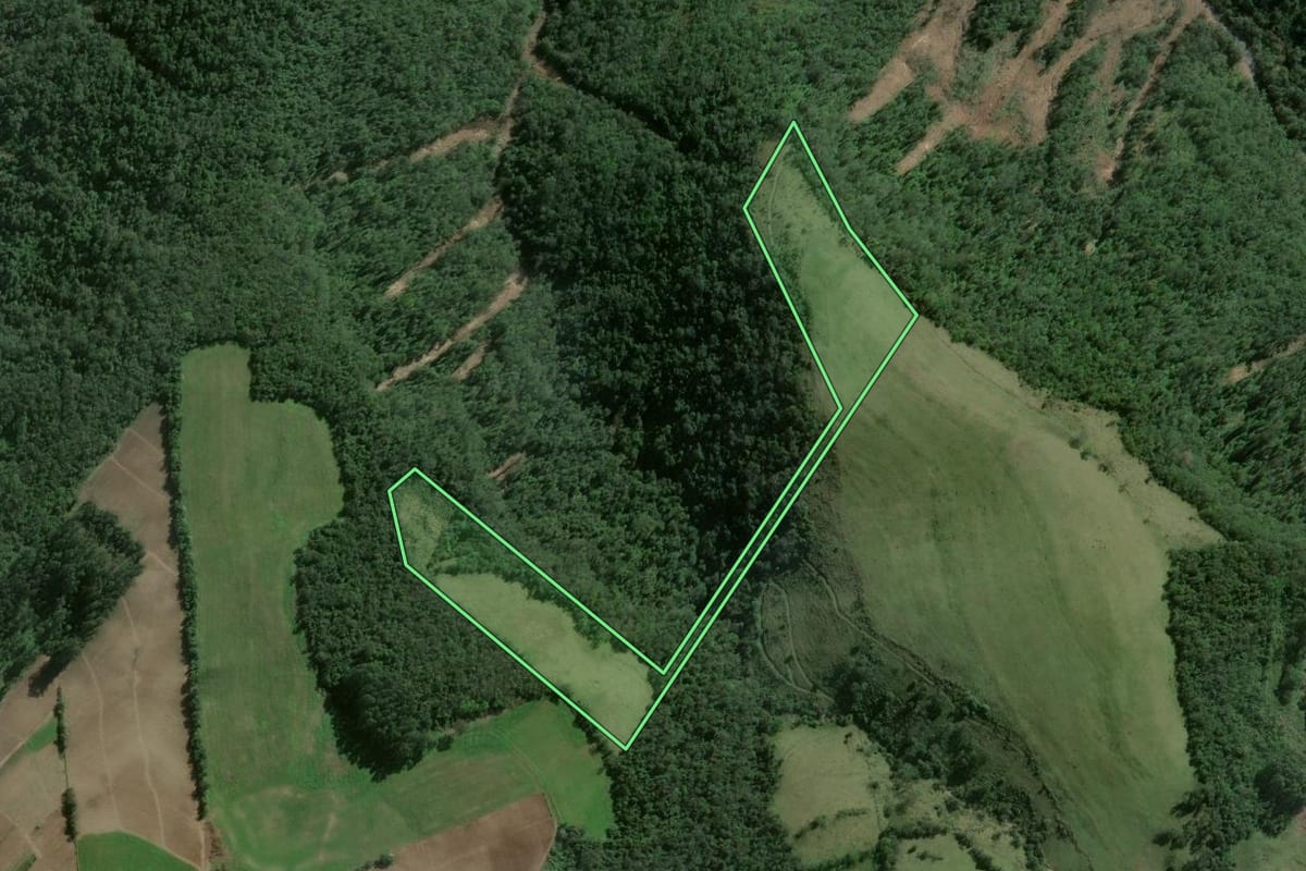 Imagem de satélite do imóvel rural em Ibarama (RS), com o contorno declarado no CAR desenhado por cima.