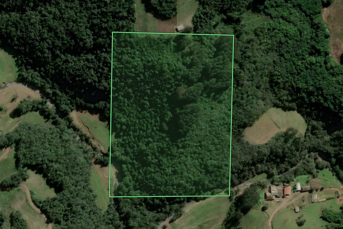 Imagem de satélite do imóvel rural em Ibarama (RS), com o contorno declarado no CAR desenhado por cima.