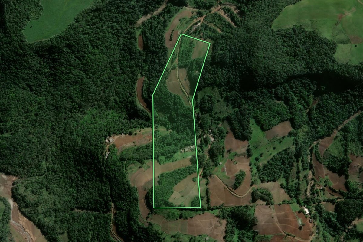 Imagem de satélite do imóvel rural em Ibarama (RS), com o contorno declarado no CAR desenhado por cima.