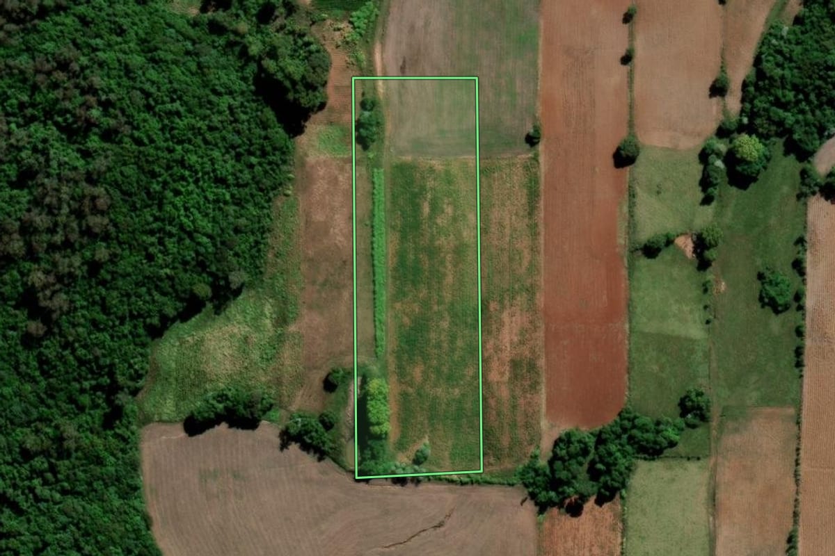 Imagem de satélite do imóvel rural em Ibarama (RS), com o contorno declarado no CAR desenhado por cima.