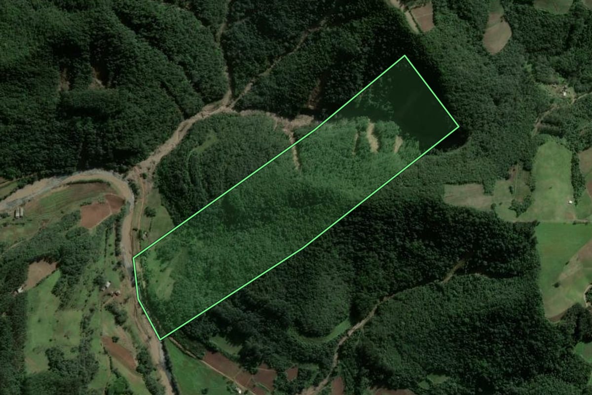 Imagem de satélite do imóvel rural em Ibarama (RS), com o contorno declarado no CAR desenhado por cima.