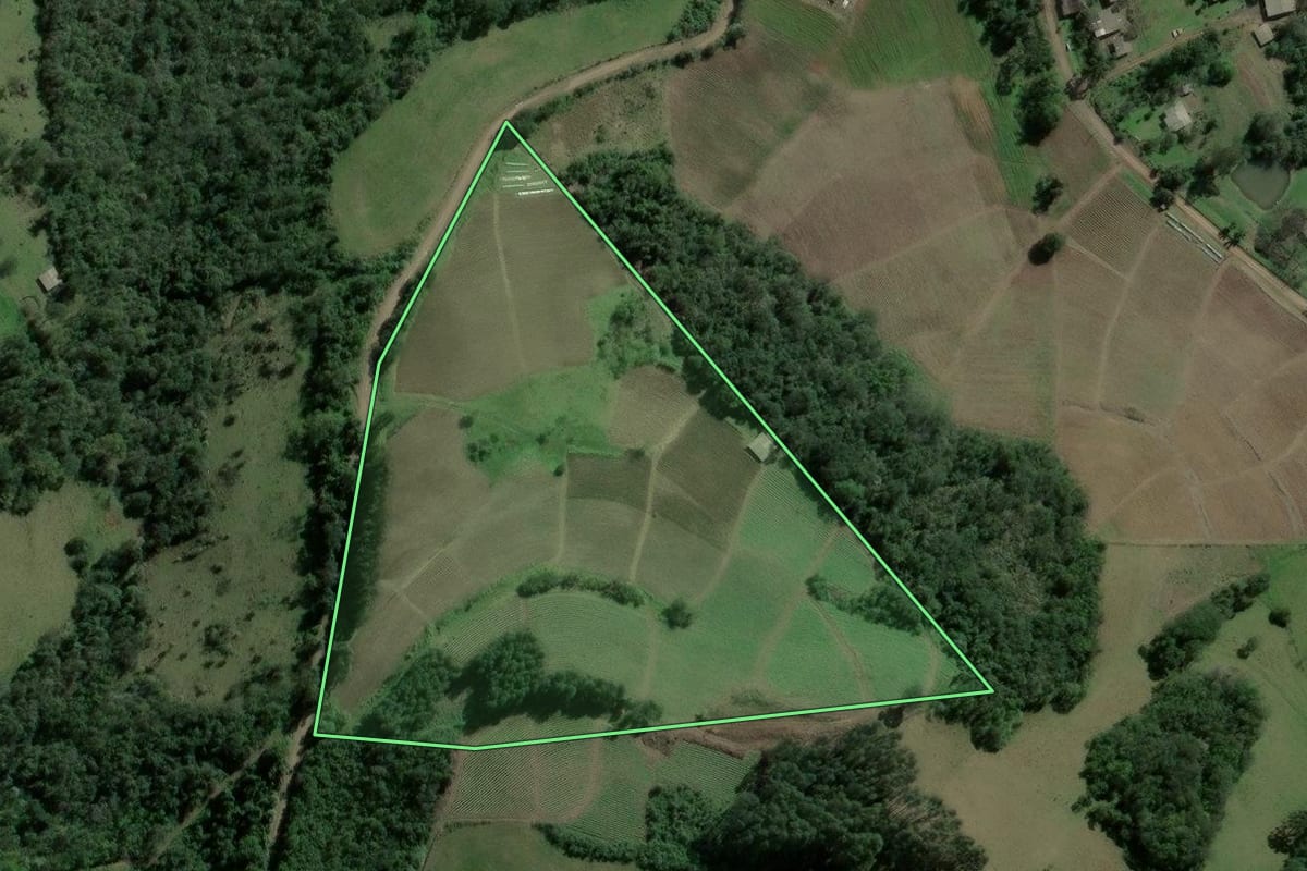 Imagem de satélite do imóvel rural em Ibarama (RS), com o contorno declarado no CAR desenhado por cima.