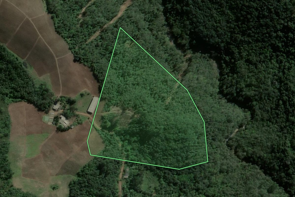 Imagem de satélite do imóvel rural em Ibarama (RS), com o contorno declarado no CAR desenhado por cima.