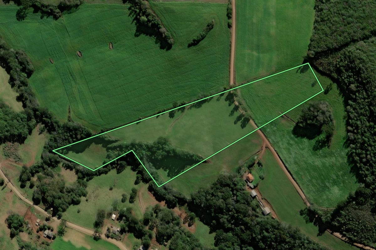 Imagem de satélite do imóvel rural em Ibiaçá (RS), com o contorno declarado no CAR desenhado por cima.