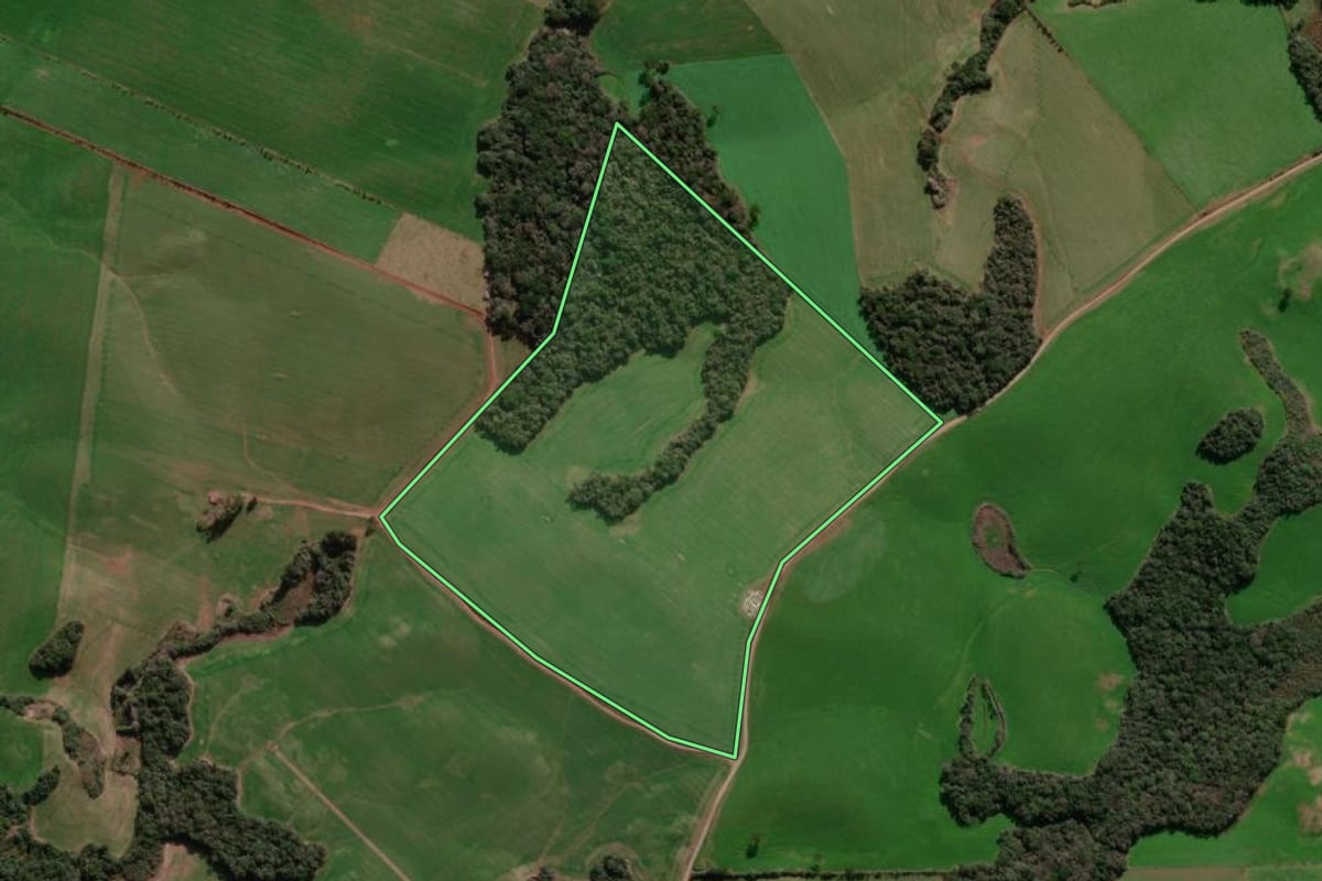 Imagem de satélite do imóvel rural em Ibiaçá (RS), com o contorno declarado no CAR desenhado por cima.
