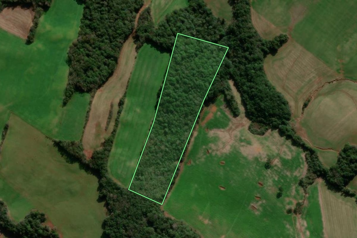 Imagem de satélite do imóvel rural em Ibiaçá (RS), com o contorno declarado no CAR desenhado por cima.