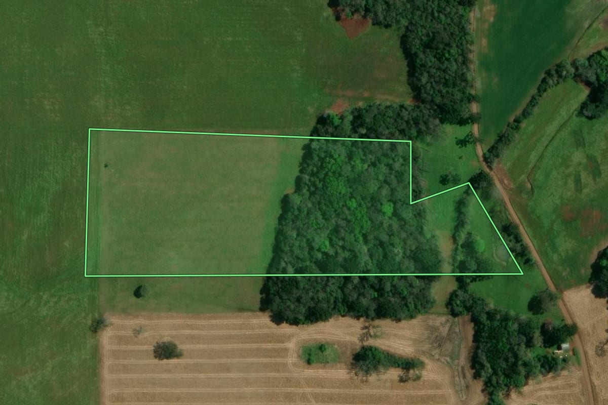 Imagem de satélite do imóvel rural em Ibiaçá (RS), com o contorno declarado no CAR desenhado por cima.
