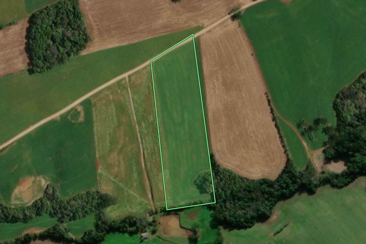 Imagem de satélite do imóvel rural em Ibiaçá (RS), com o contorno declarado no CAR desenhado por cima.