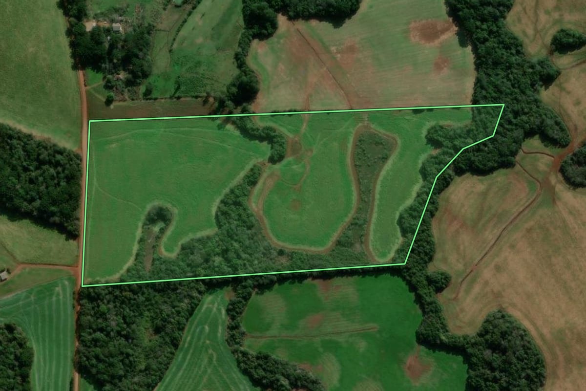 Imagem de satélite do imóvel rural em Ibiaçá (RS), com o contorno declarado no CAR desenhado por cima.