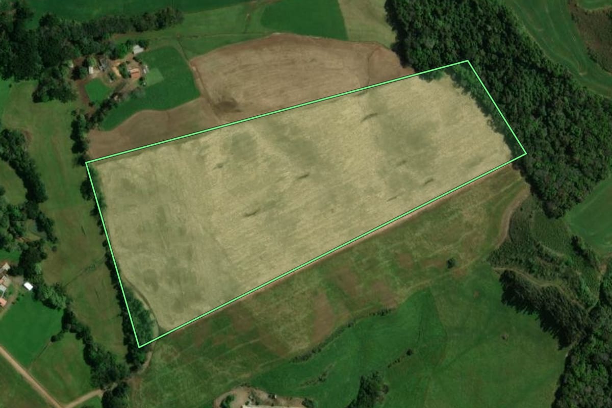 Imagem de satélite do imóvel rural em Ibiaçá (RS), com o contorno declarado no CAR desenhado por cima.