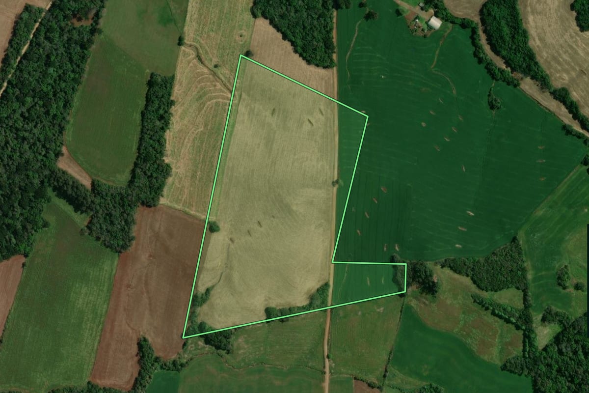 Imagem de satélite do imóvel rural em Ibiaçá (RS), com o contorno declarado no CAR desenhado por cima.