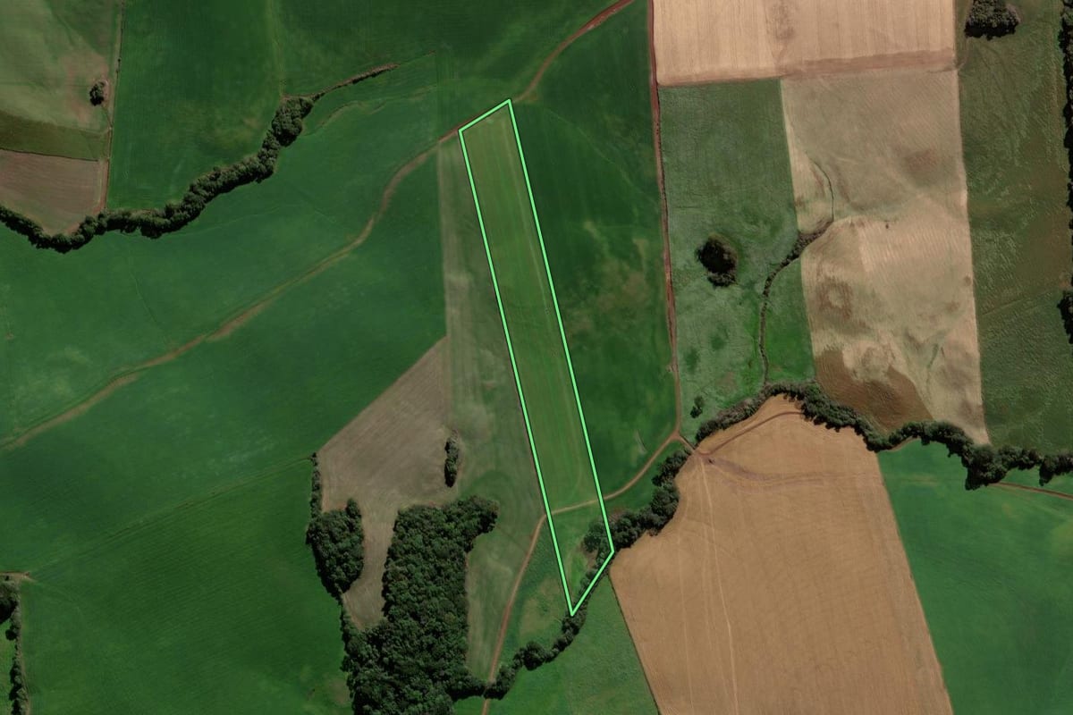 Imagem de satélite do imóvel rural em Ibiaçá (RS), com o contorno declarado no CAR desenhado por cima.