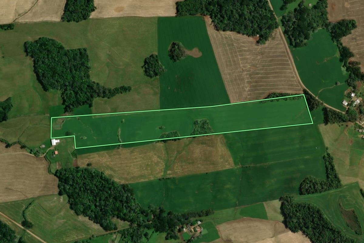 Imagem de satélite do imóvel rural em Ibiaçá (RS), com o contorno declarado no CAR desenhado por cima.